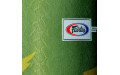 Боксерский мешок Fairtex HB6PY Green (gold silk screen) Banana Bag (БЕЗ НАПОЛНЕНИЯ)